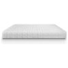 Eco Sleep Evolution Plus Ημίδιπλο Στρώμα χωρίς Ελατήρια 110x200x20cm