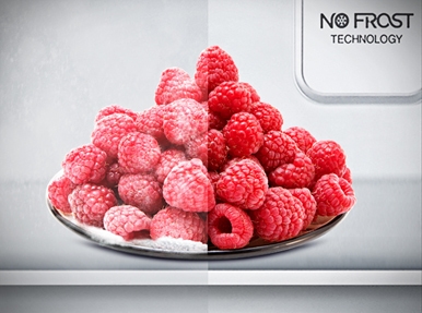 Hisense RT488N4DW2 Ψυγείο Δίπορτο 381lt Total NoFrost Υ172xΠ70xΒ63.5εκ. Λευκό